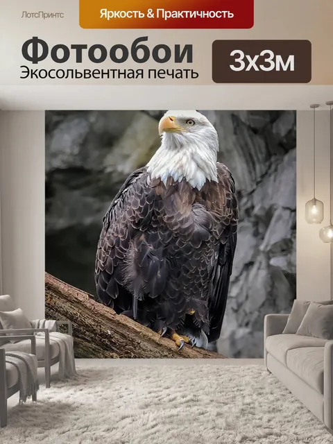 Фотообои Орел
