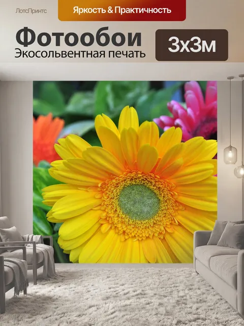 Фотообои Гербера ромашка 09