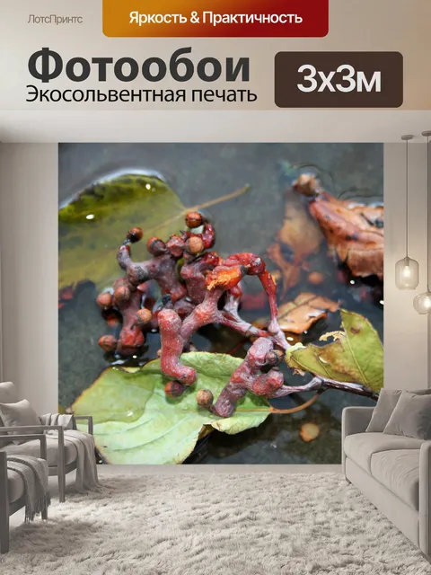Фотообои японский изюм