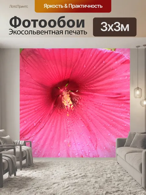 Фотообои Розовый гибискус и капли дождя