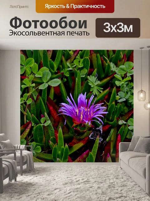 Фотообои Розовый цветущий ледокол