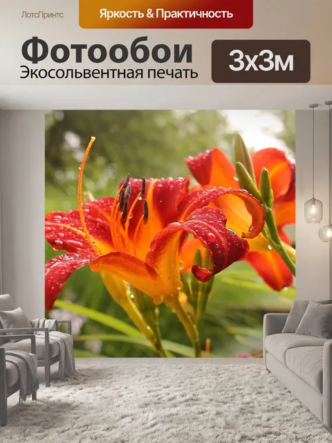Фотообои Лили