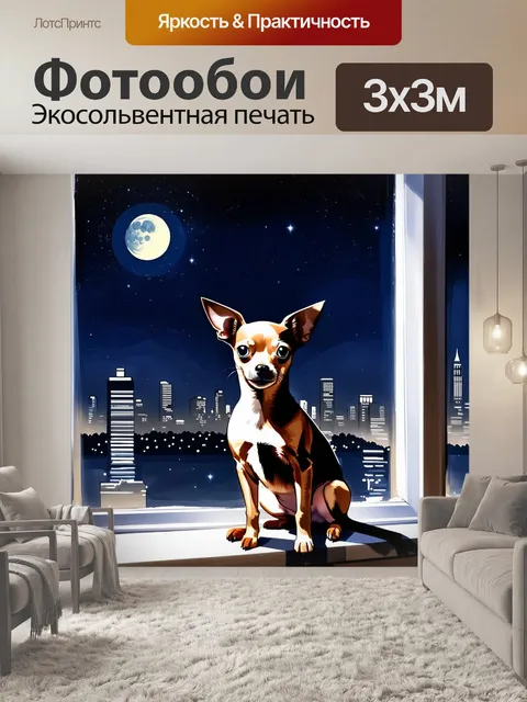 Фотообои чихуахуа, сидящий на подоконнике с видом на спокойный городской пейзаж в ночное время