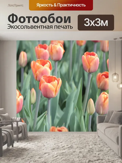 Фотообои Тюльпаны