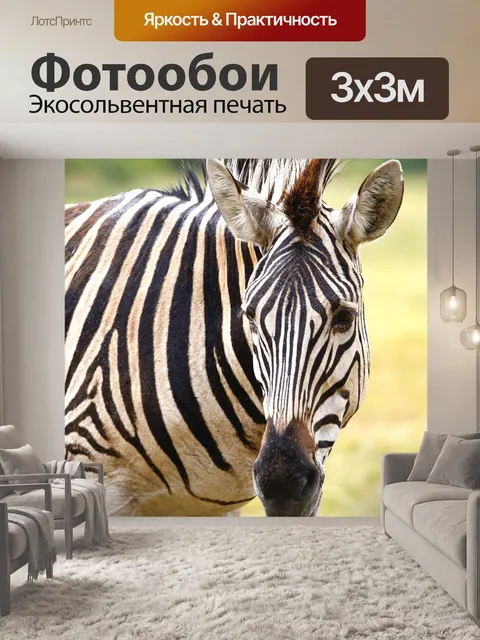 Фотообои Зебра