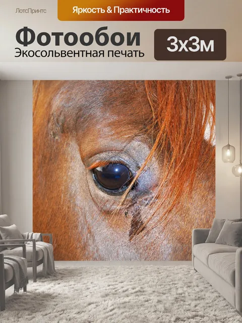 Фотообои голова лошади