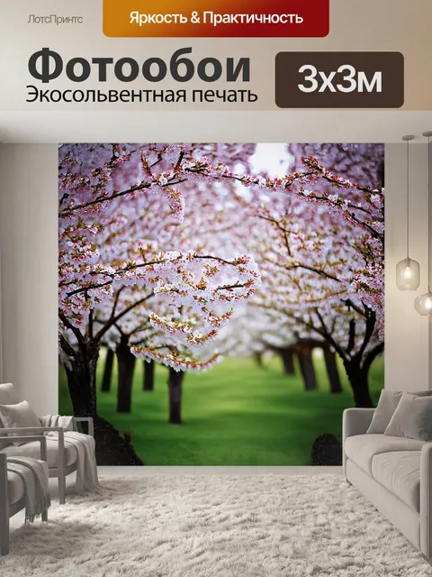 Фотообои вишневый сад в разгар цветения: белые и розовые цветы создают волнующее видение