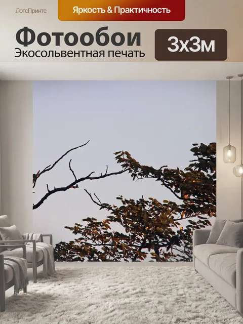 Фотообои кончики деревьев и сухие ветки