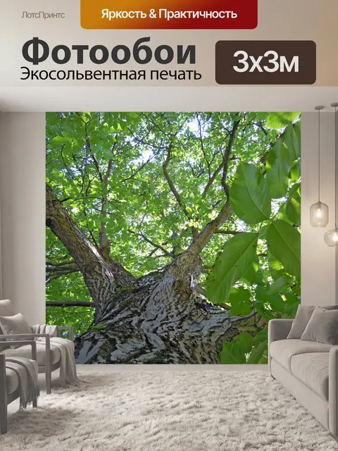 Фотообои Дерево