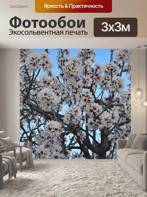 Фотообои Цветы миндаля