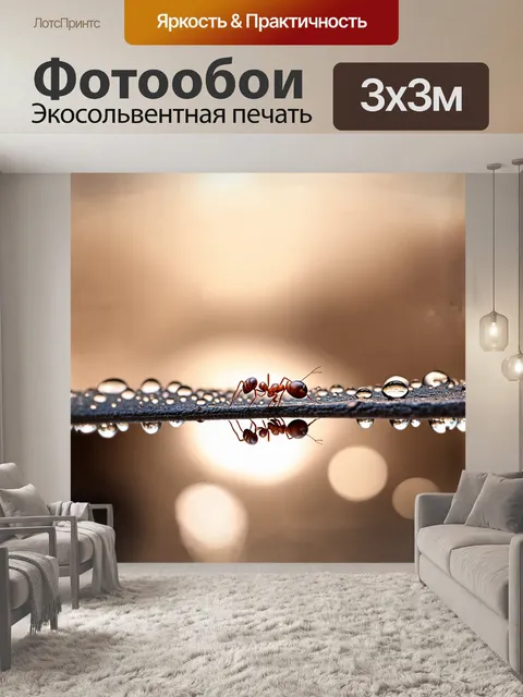 Фотообои одинокий муравей, сидящий на краю капли росы, который сверкает на утреннем солнце