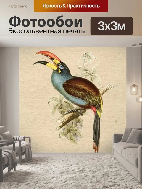 Фотообои Птица