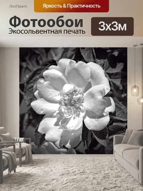 Фотообои Роза