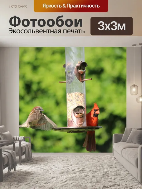 Фотообои Подозрительный Посадка