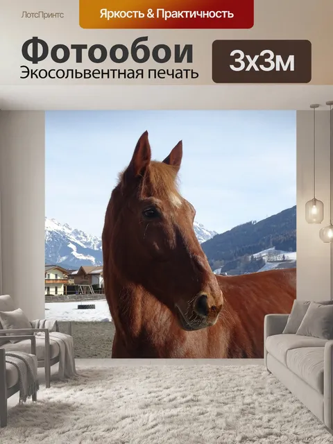 Фотообои Лошадь