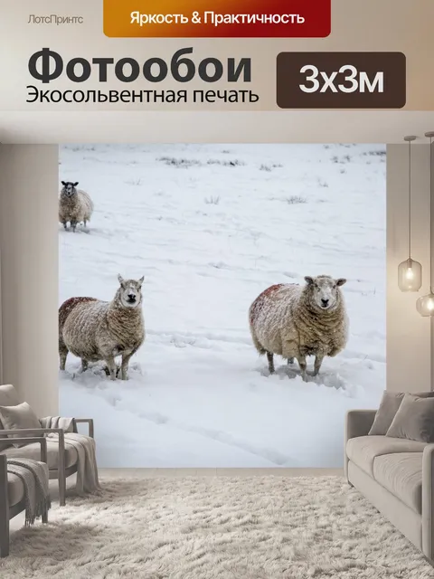 Фотообои Овцы зимой