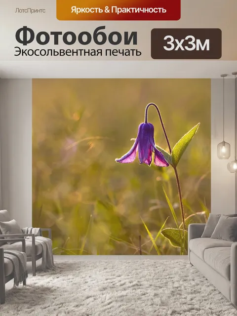 Фотообои Закат