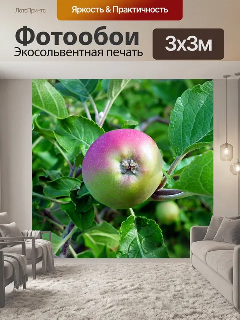 Фотообои Apple