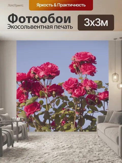 Фотообои Красные розы