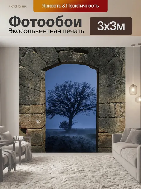 Фотообои Арка