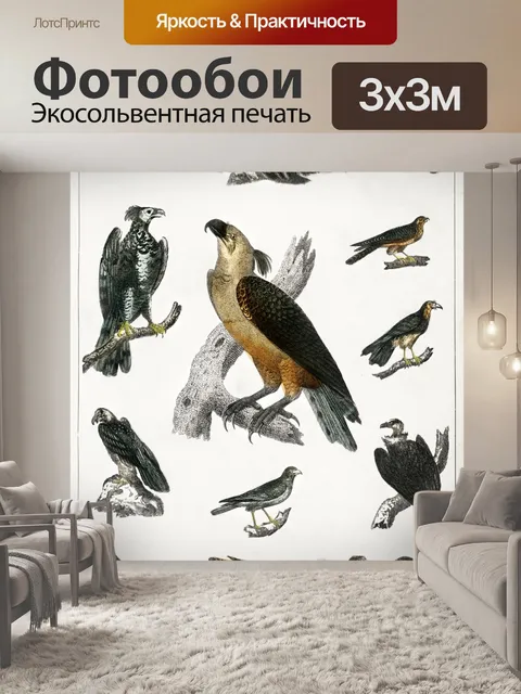 Фотообои Птицы орлы винтаж старый