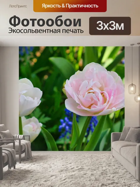 Фотообои Цветы