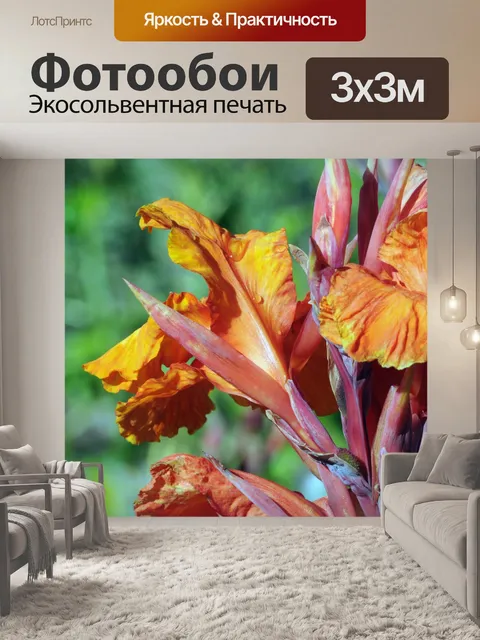 Фотообои Яркий оранжевый Ирис фон
