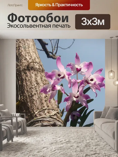 Фотообои Цветы