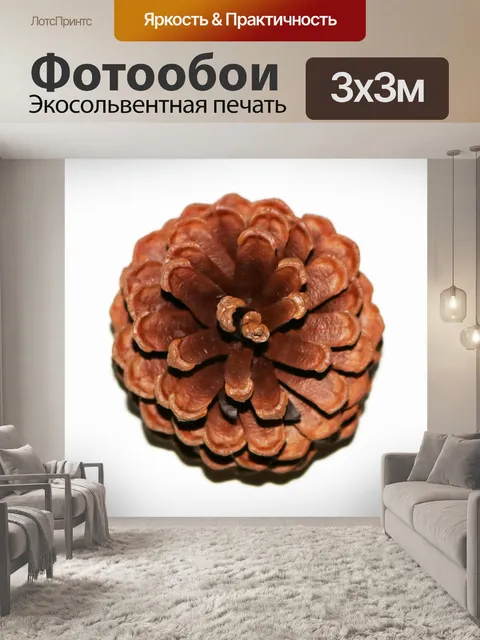 Фотообои Сосновая шишка, вид сверху крупным плано