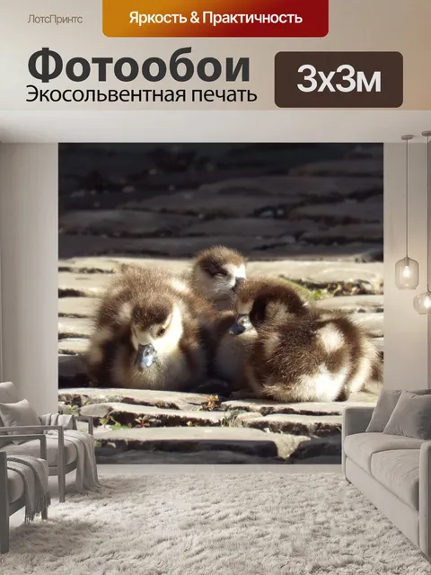 Фотообои Потомство
