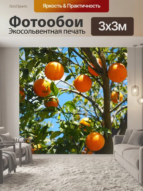 Фотообои Апельсины