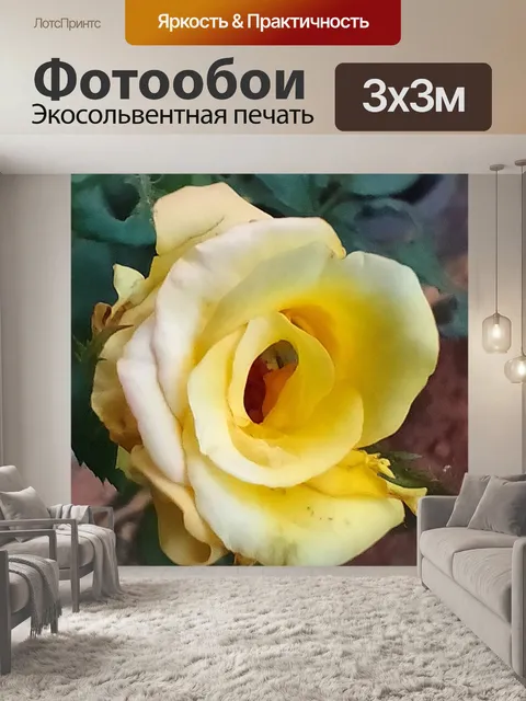 Фотообои Желтая роза