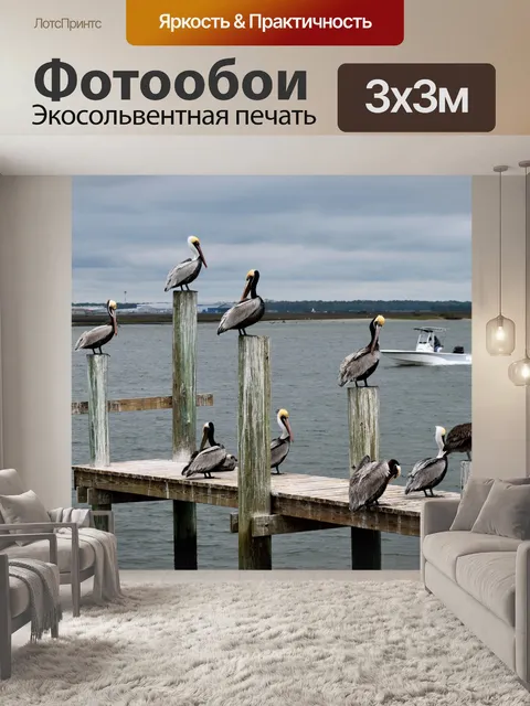 Фотообои Пеликаны на пирсе