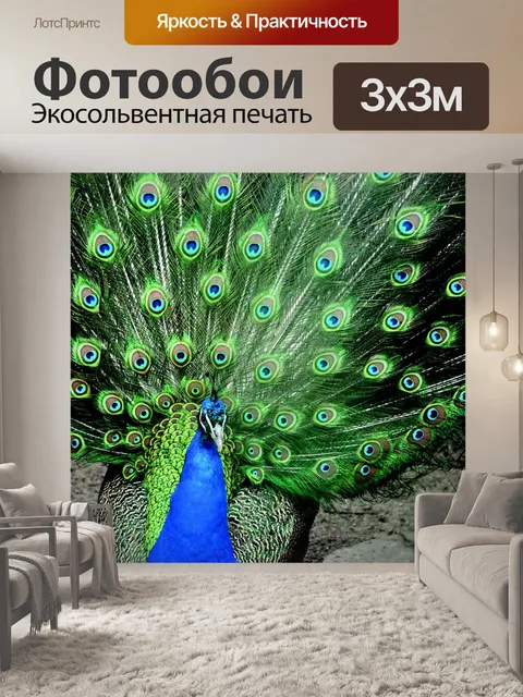Фотообои Павлин