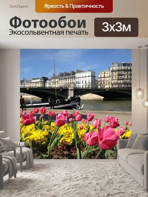 Фотообои Франция