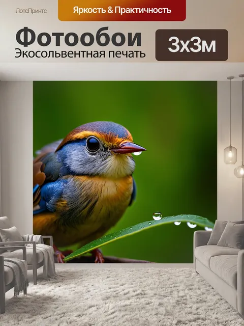Фотообои птица, завороженно смотрящая на каплю росы на утреннем листочке