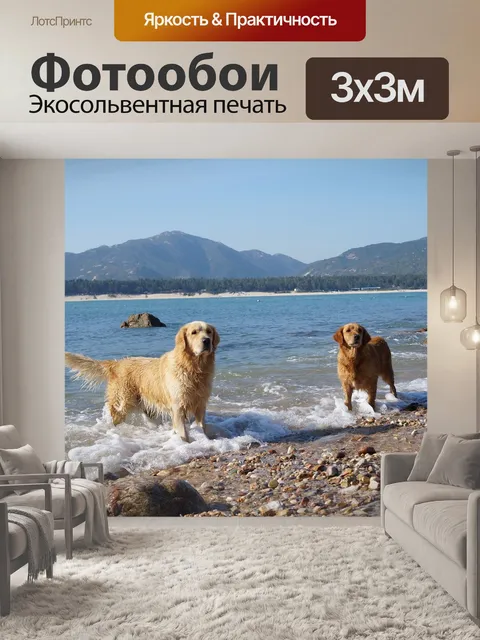Фотообои Красивый