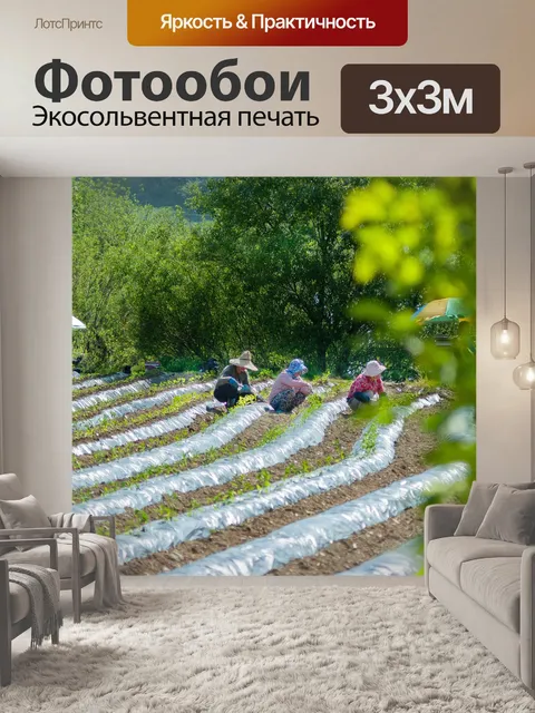 Фотообои Фермер
