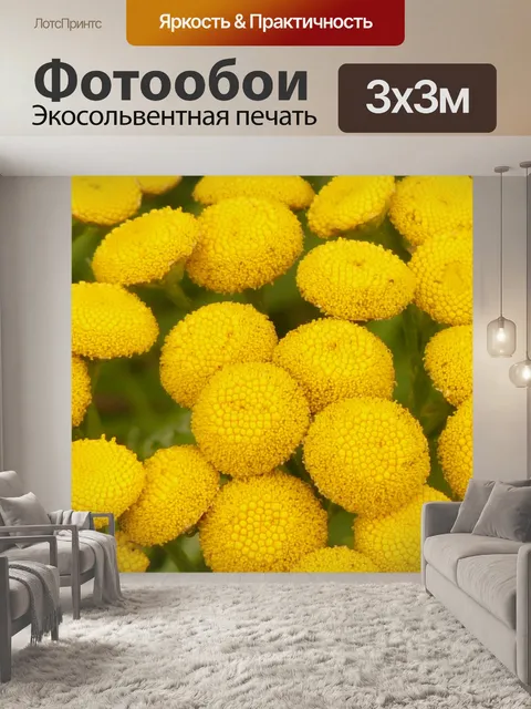 Фотообои Пижма