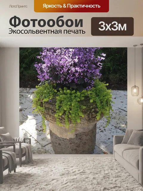 Фотообои Контейнерный сад