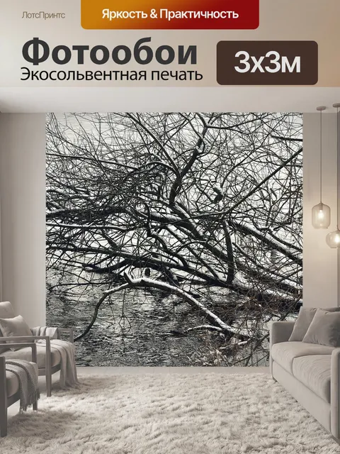 Фотообои Дерево