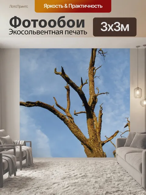 Фотообои Дерево