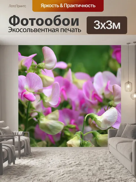 Фотообои Душистый горошек