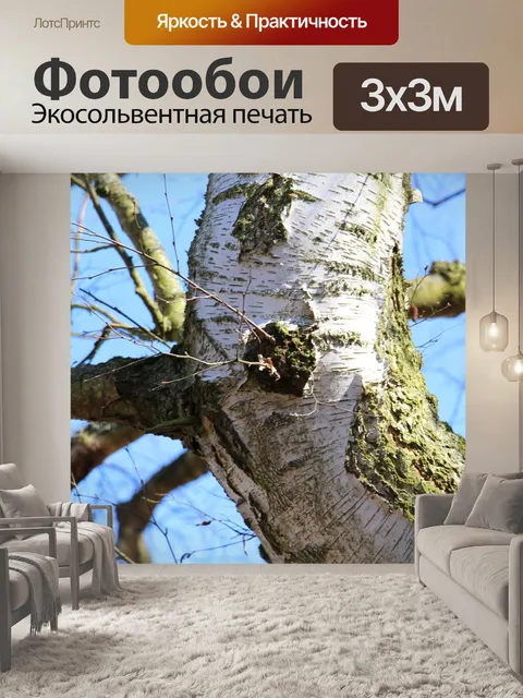 Фотообои Дерево