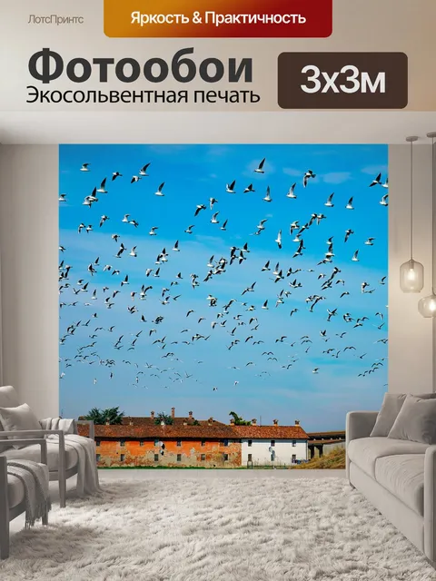 Фотообои Чайки