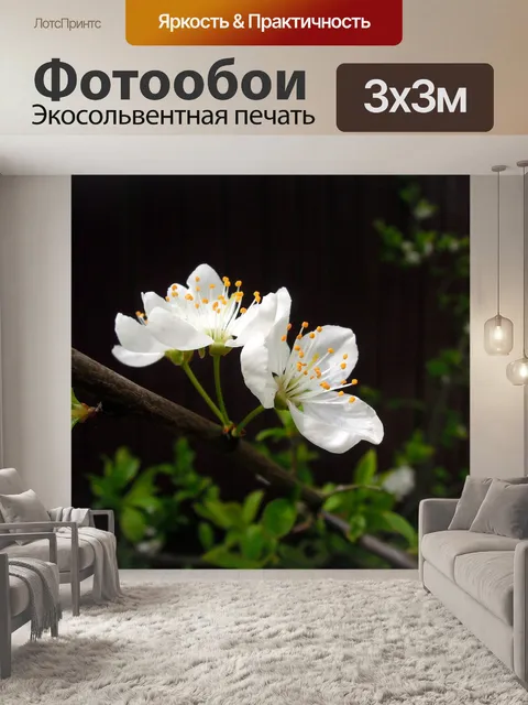 Фотообои Вишня