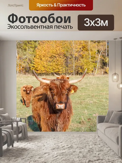Фотообои Горный скот