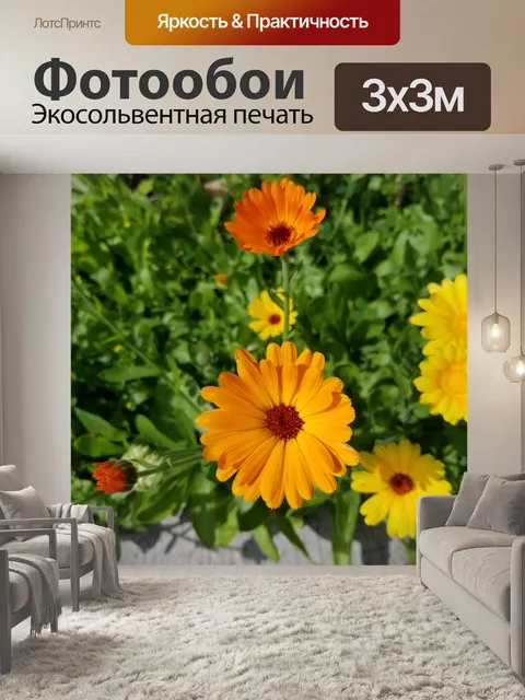 Фотообои Оранжевые и желтые цветы бархатца