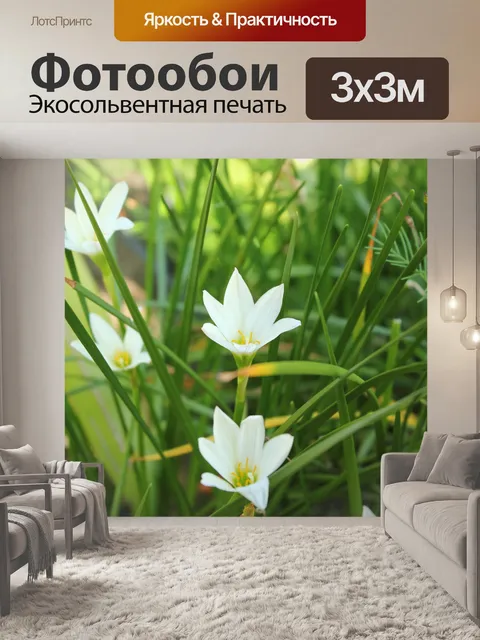 Фотообои белый цветок