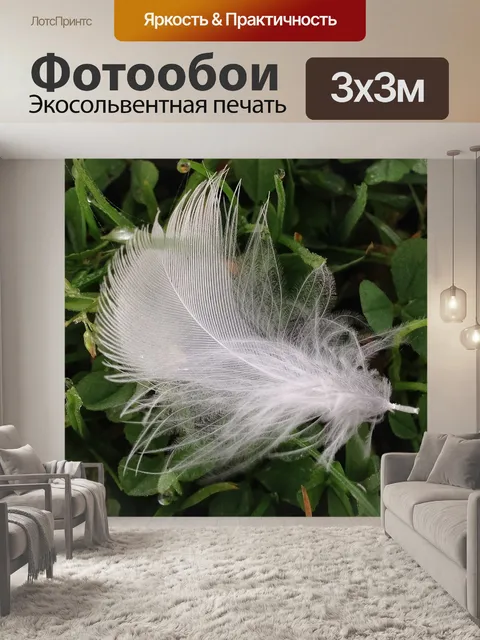 Фотообои Перо